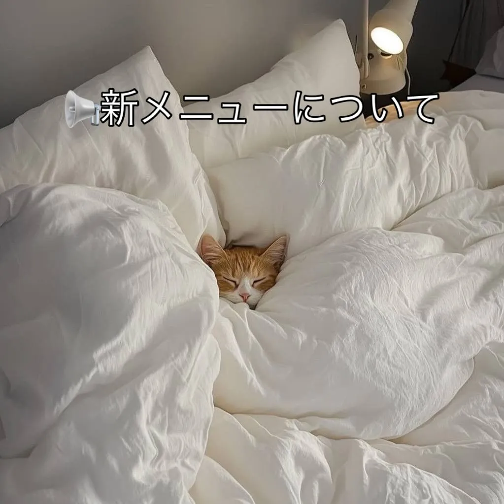 📢 新オプションのお知らせ ✨